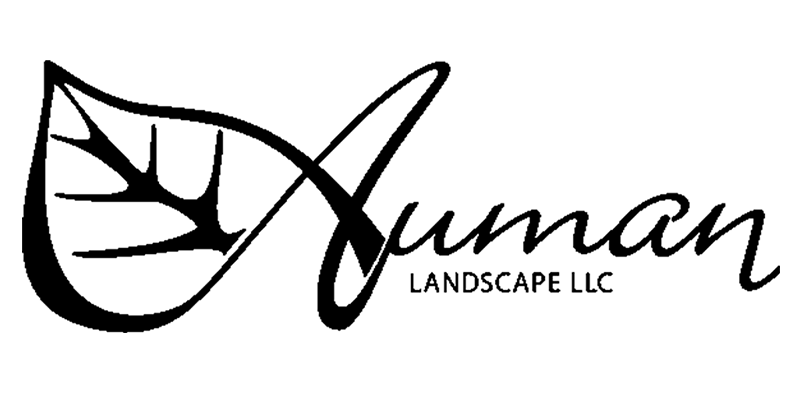 img-Auman.png