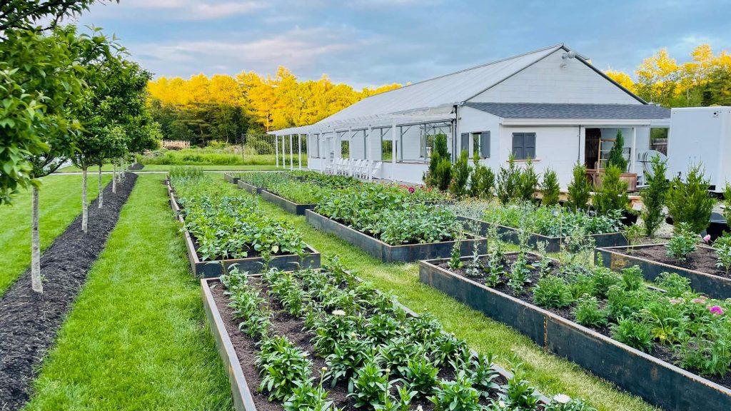 modular Corten Steel garden beds